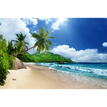 Letní Tropické Moře Oceán Pobřeží Pláže, Palmy Scenérie Přírody Dítě, Portrét, Pozadí, Fotografické Pozadí Pro Photo Studio