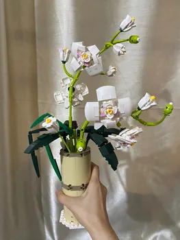 Sledujte Store =$2 Kupon MOC Tvůrce Přátele A Dívky Phalaenopsis Květiny 588 KS Model, Stavební Bloky Hračky Pro Děti Dárky