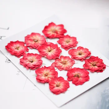 DIY Aromaterapie Vosk Tablety lisované Rostlinné květiny Ražba Domů, svíčka, výzdoba materiál, Sušené květiny série