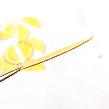 5ks Sušené Lisované 5-6cm Oranžové Plátky Ovocných Rostlin, Herbář Pro Šperky Fotografie Rám Telefon Pouzdro Záložku Pohlednice, Takže DIY