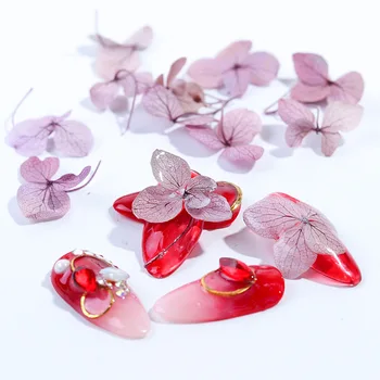 1 box Nehty sušené květiny ins Japonské populární věčný květ krásné nehty velký nášivka šperky materiál Konzervované Květiny