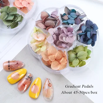 1 box Nehty sušené květiny ins Japonské populární věčný květ krásné nehty velký nášivka šperky materiál Konzervované Květiny