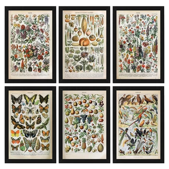 Vintage Palaeobios Rostlin Plakát Květ, Houby, Zvíře, Hmyz, Motýl Malířské Plátno Wall Art Plátno, Olejomalba Domova